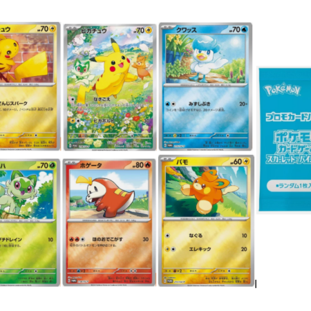 Summer is Here! 2024 promo pack